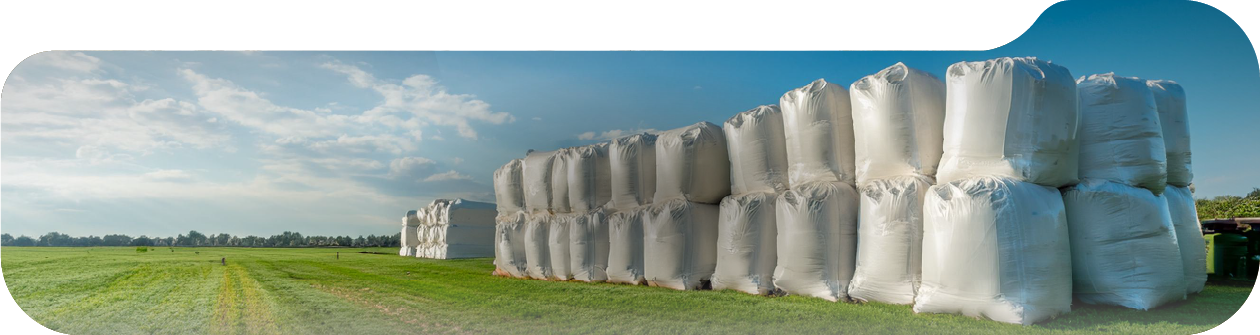 Filled Big Bags stacked outdoors