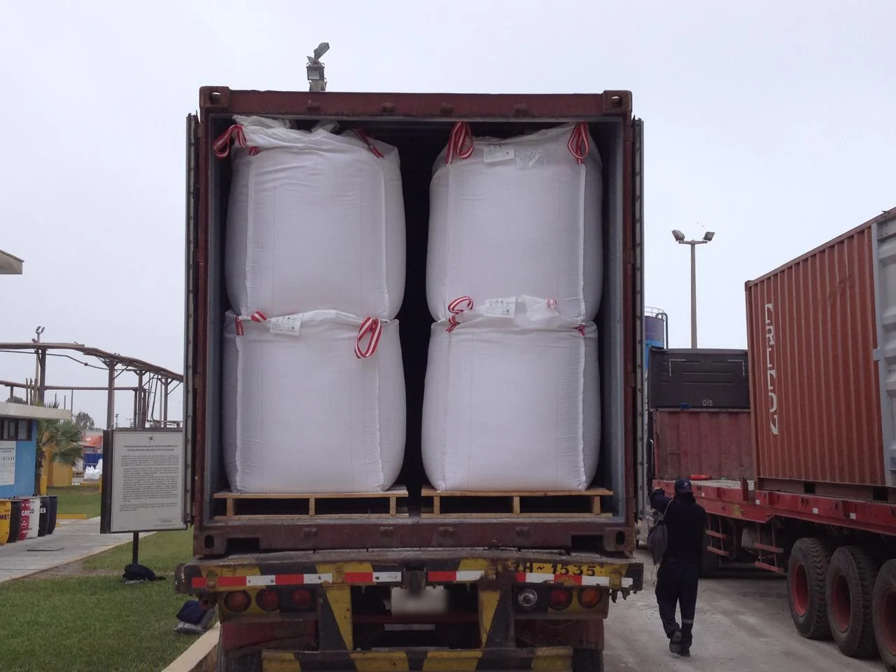 Carga en contenedor para exportación